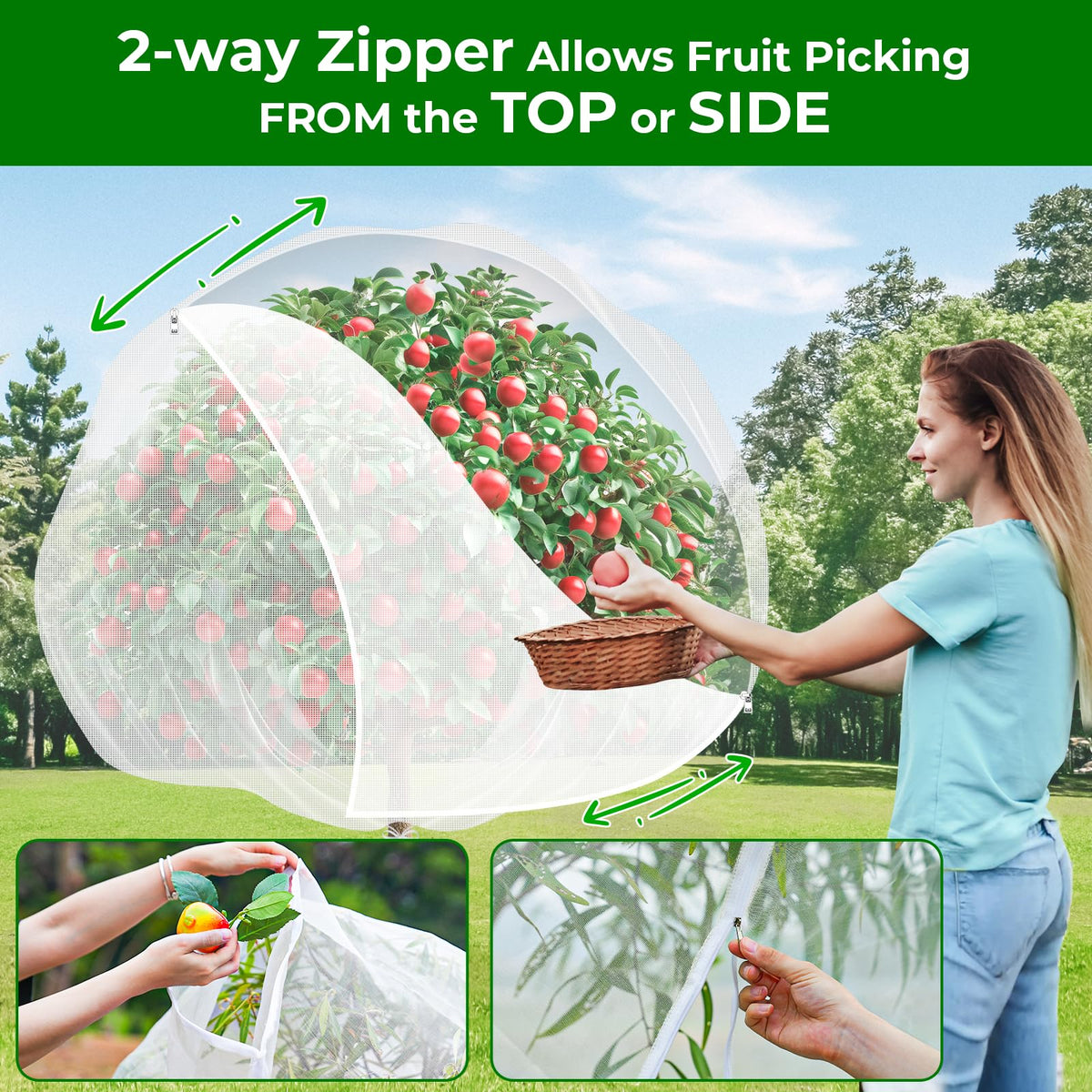 Garden Tailor drawstring installation on a blueberry bush provides secure, reusable coverage.