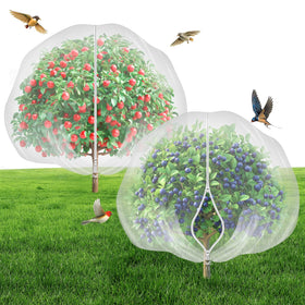 Garden Tailor fruit tree netting on a cherry tree protects fruit while harvesting.