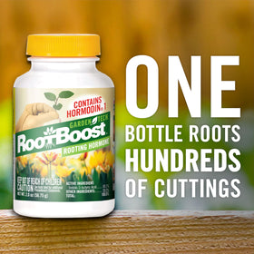 Gardentech RootBoost cuttings dip demonstrates quick, reliable rooting preparation.