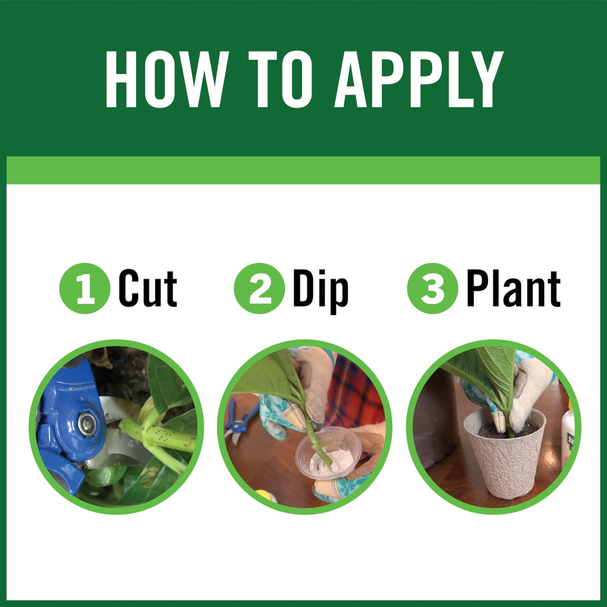 Gardentech RootBoost powder for dipping supports healthy root development.