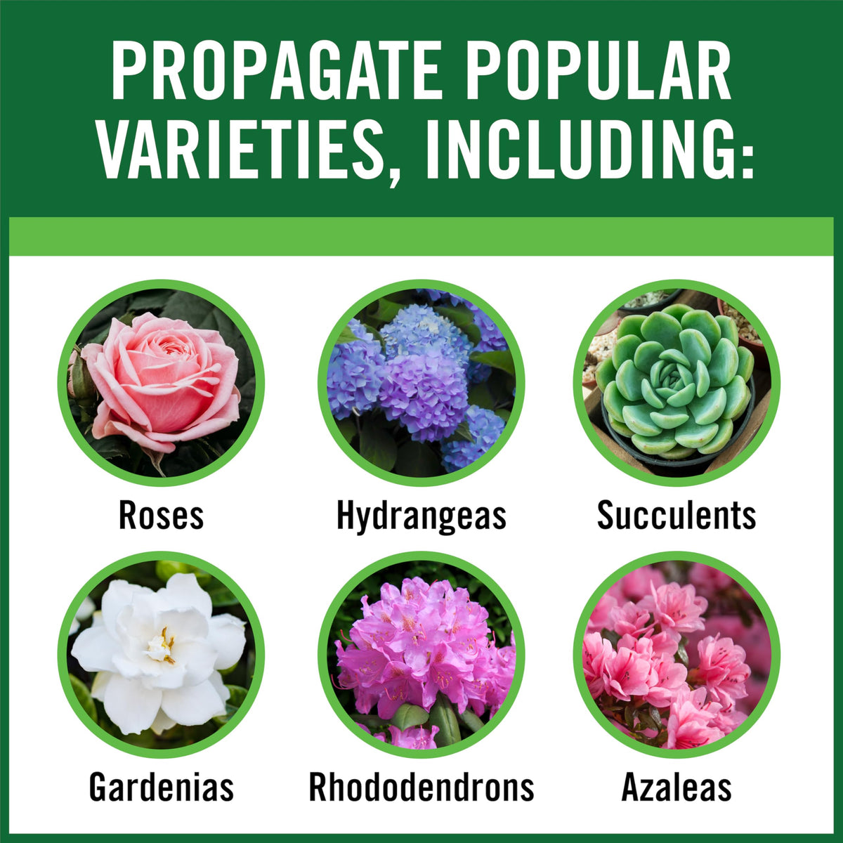 Gardentech RootBoost rooting hormone aids root growth in cuttings.