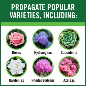 Gardentech RootBoost rooting hormone aids root growth in cuttings.