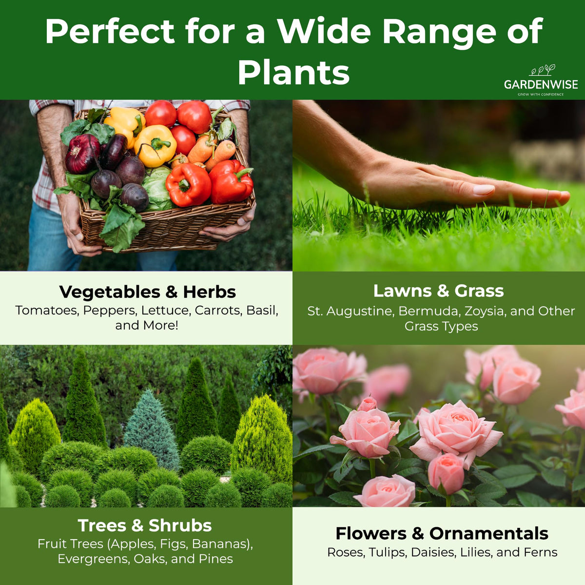GardenWise 10-10-10 granules dispersed in soil support strong root growth.