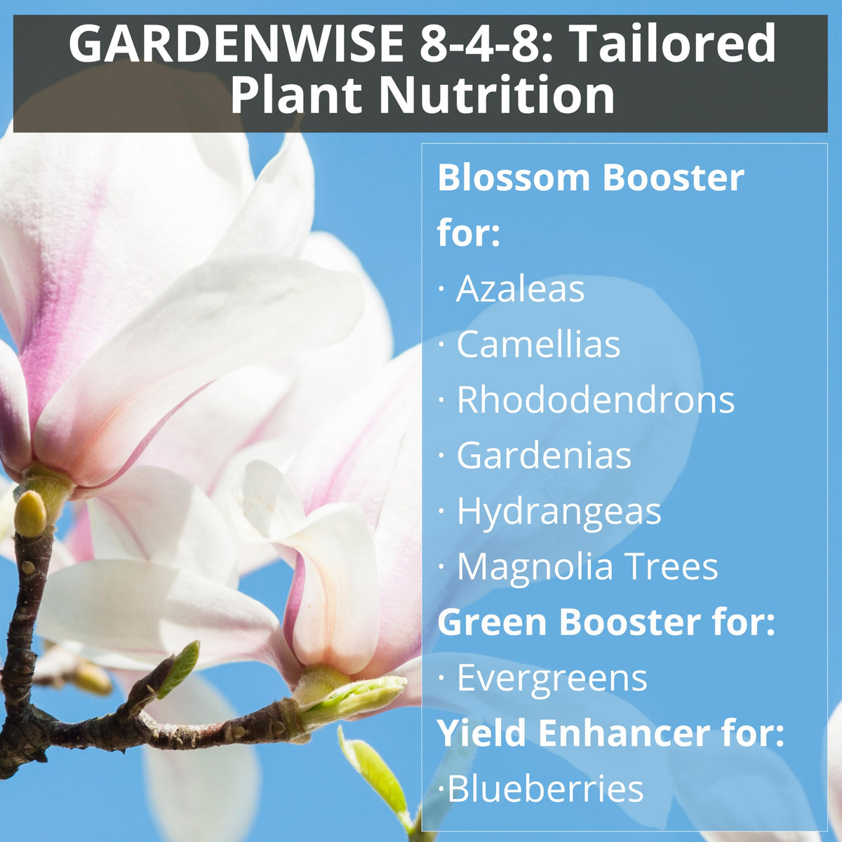 GARDENWISE improves hydrangeas color with optimized pH and balanced nutrients