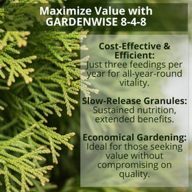 GARDENWISE magnolia trees benefit from soil acidity and steady nourishment