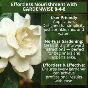 Gardenwise 8-4-8 magnolia tree nourishment supports robust evergreen companions.
