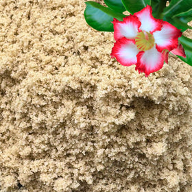GardenWise fine sand provides aeration for potting mixes and healthier roots.