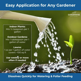 Gardenwise lawn feeding for healthier, greener turf.