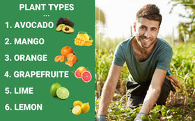 Gardenwise nutrient-rich blend provides quick nitrogen boost for growth