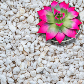 GARDENWISE perlite bottle pour enhances drainage and airflow for container plants.