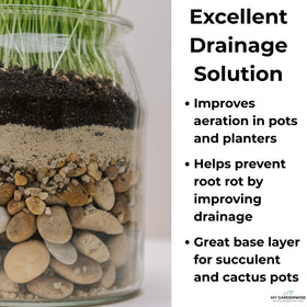 GardenWise terrarium sand creates a natural decorative layer with a clean, polished look.