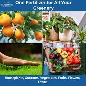Gardenwise tomato and vegetable care boosts flowering and fruiting.