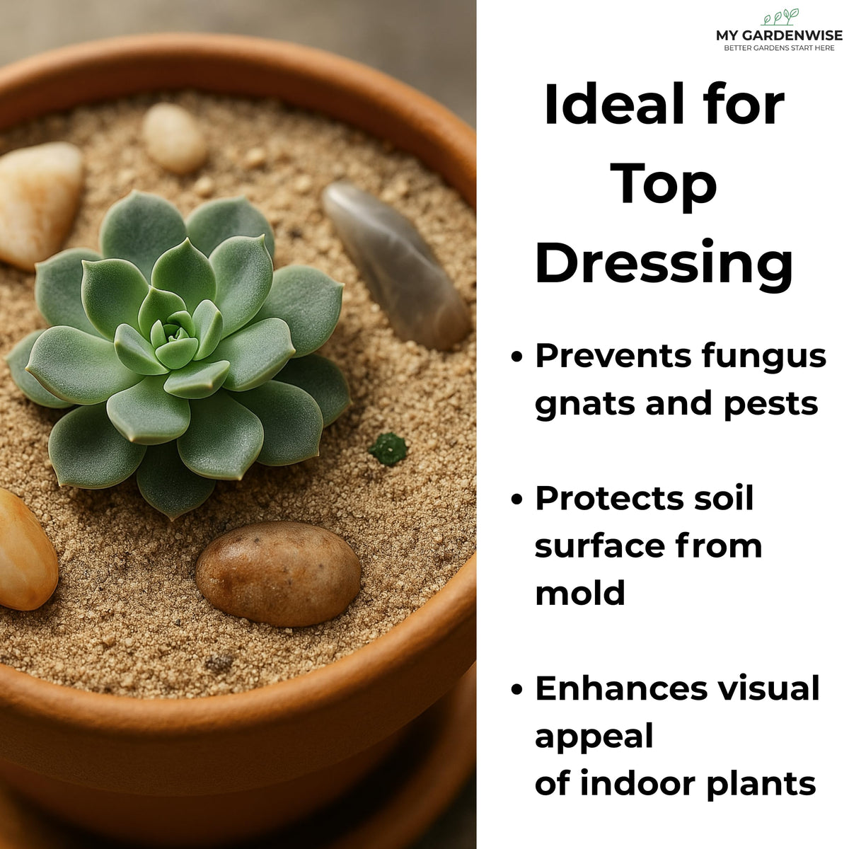 GardenWise top-dressing sand elevates plant displays with a soft, natural finish.