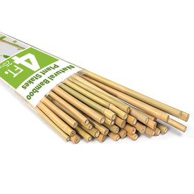 Gardgue bamboo stakes in soil support tomatoes and climbers with sturdy natural strength.