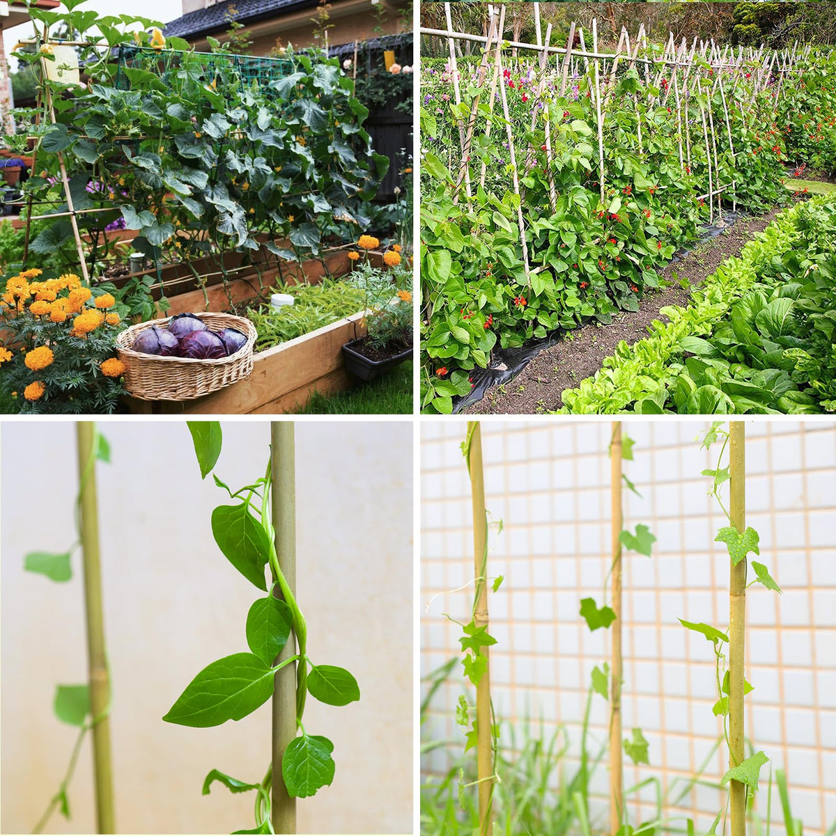 Trim Gardgue stakes to size for custom trellises and plant supports.