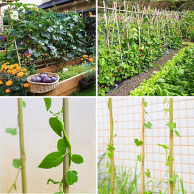 Trim Gardgue stakes to size for custom trellises and plant supports.