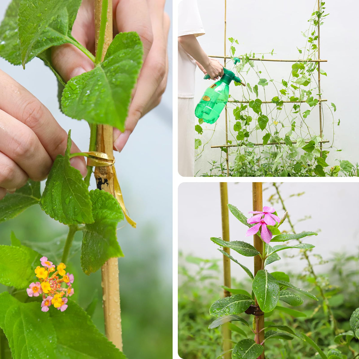 Gardgue stakes double as marking pins for easy garden planning.