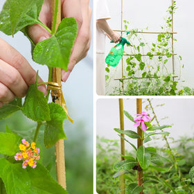 Gardgue stakes double as marking pins for easy garden planning.