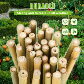 Gardgue stakes resist wind and provide stable plant support on breezy days.