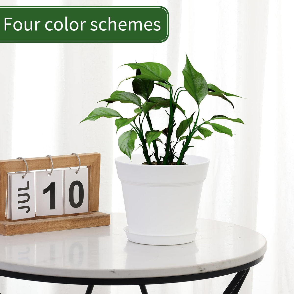 GARDIFE 20-pack gift-ready planters ideal for housewarming or birthdays.