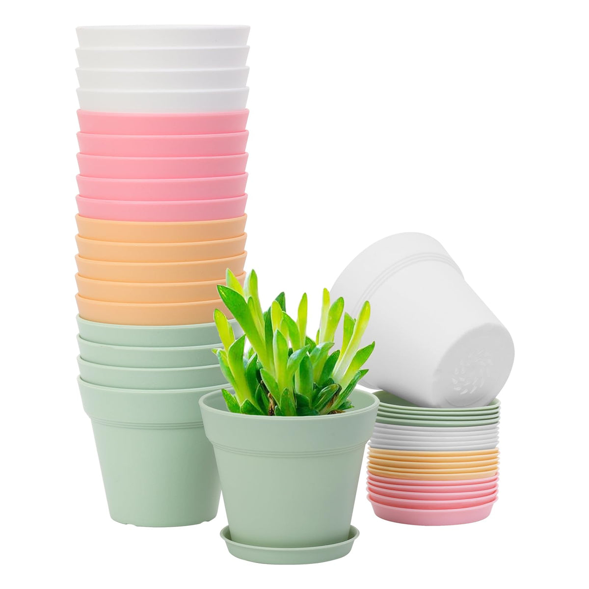 GARDIFE 20-pack plant pots top view highlighting the modern matte finish for indoor spaces.