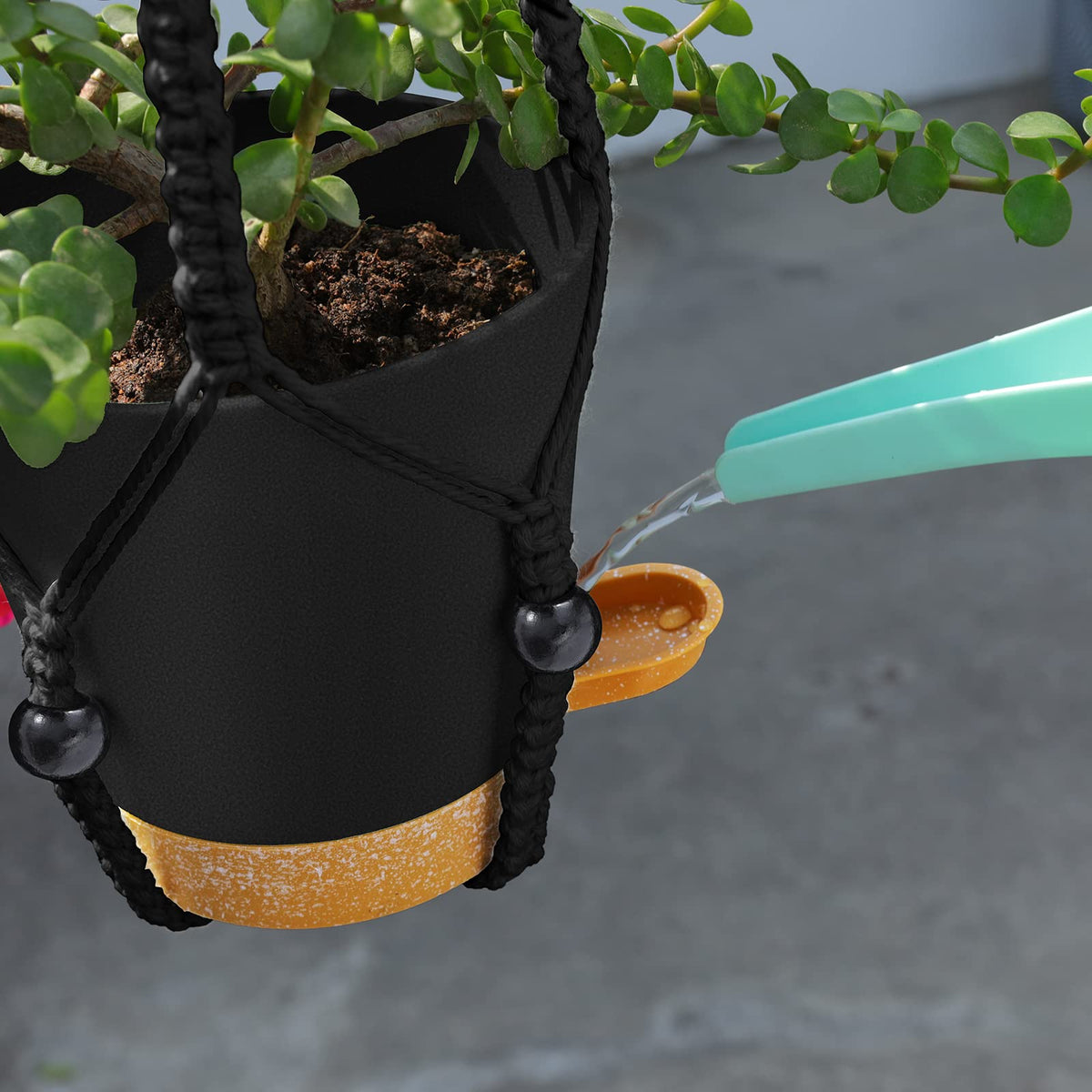 GARDIFE five-pack hanging planters collection for coordinated decor