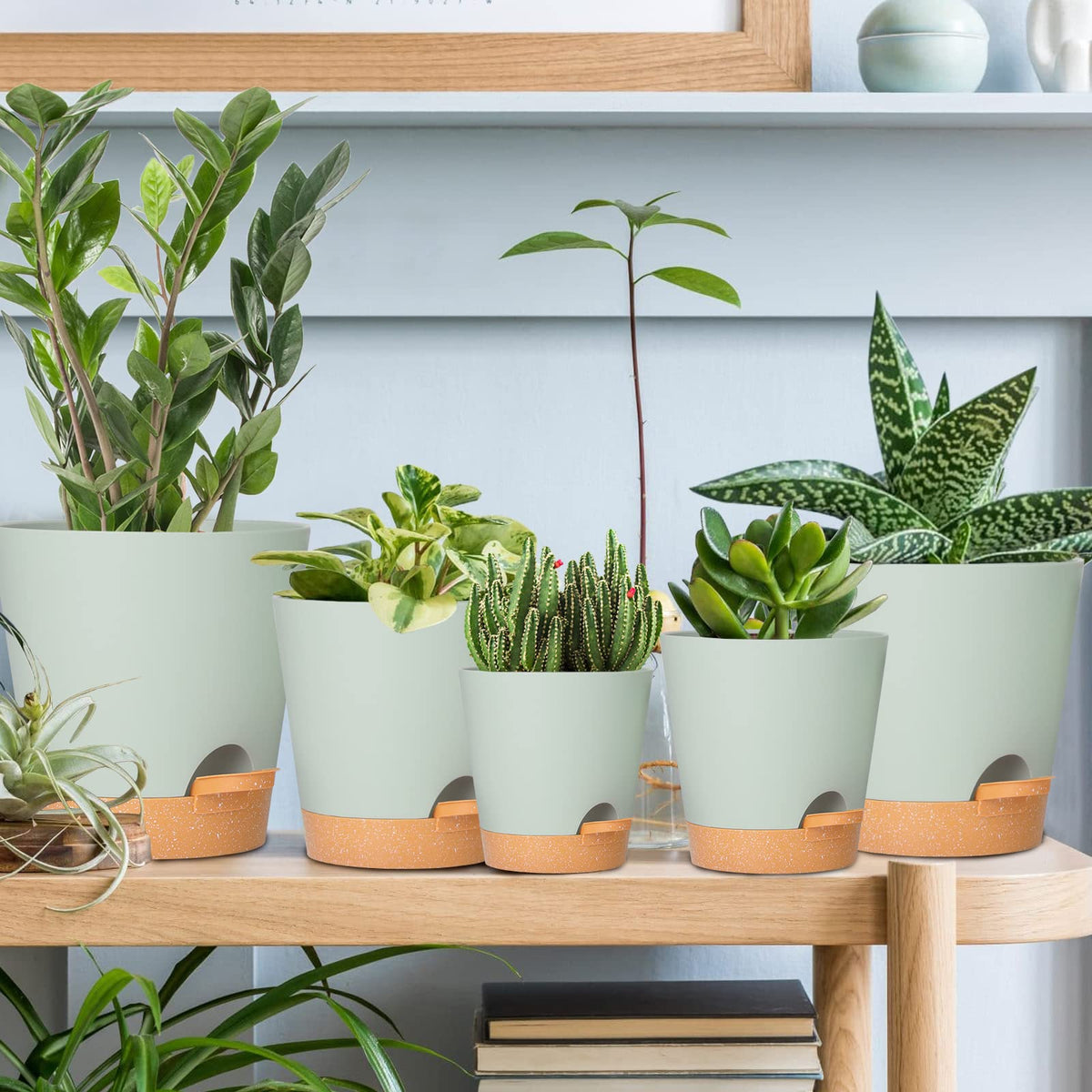 Gardife gift-ready packaging makes plant gifting easy and stylish.
