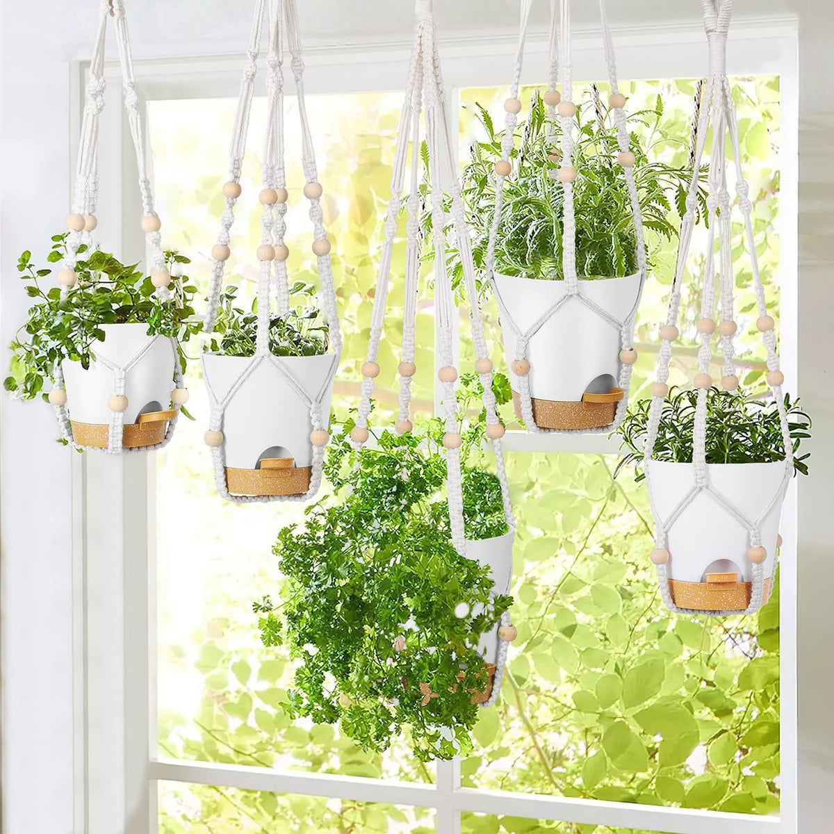 GARDIFE 23 inch hanging planter suits mid-size plants beautifully