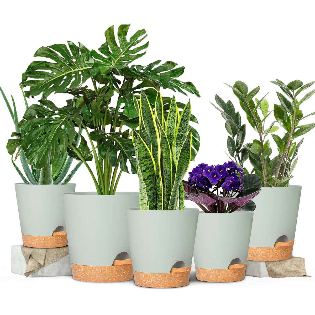 Gardife self-watering saucer reservoir maintains moisture with fewer checks.