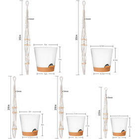 GARDIFE self-watering saucer demonstrates long intervals between waterings
