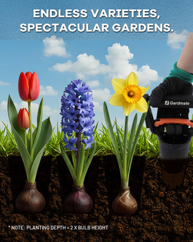Gardmate Bulb Planter Tool fixed 5-inch depth for uniform bulb and seed placement.