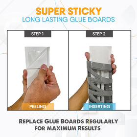 Gardner Flyweb glueboard insect-trap close-up captures trapped bugs safely.