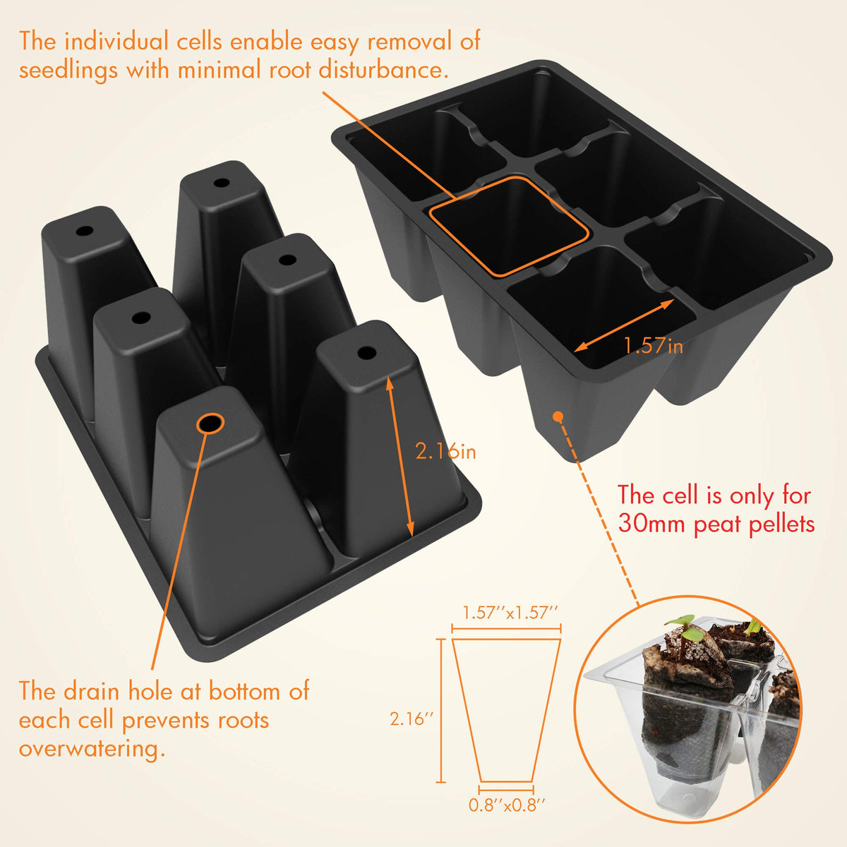 Gardzen 12-cell insert enables easy sowing and care.