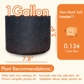 Gardzen aeration fabric pot promotes healthy root airflow for faster growth.