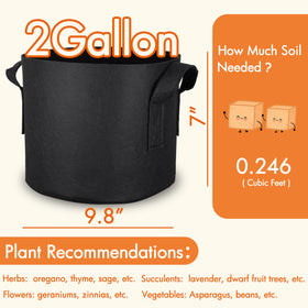 Gardzen air-pruning bag showing improved root development and aeration.