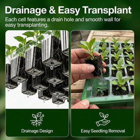 Gardzen bottom watering base with drainage promotes balanced moisture and roots.