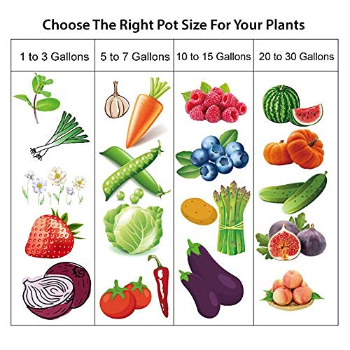 Gardzen bulk set supports versatile outdoor container gardens and rotations