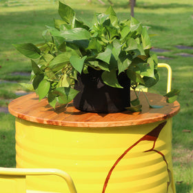 Gardzen compact 1 gal grow bag fits balconies for small-space gardening.