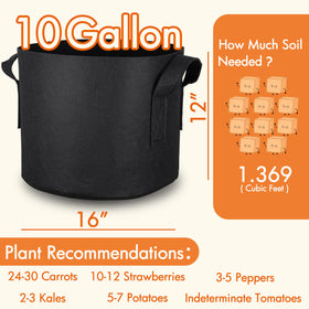 Gardzen container garden setup with grow bags on a patio.