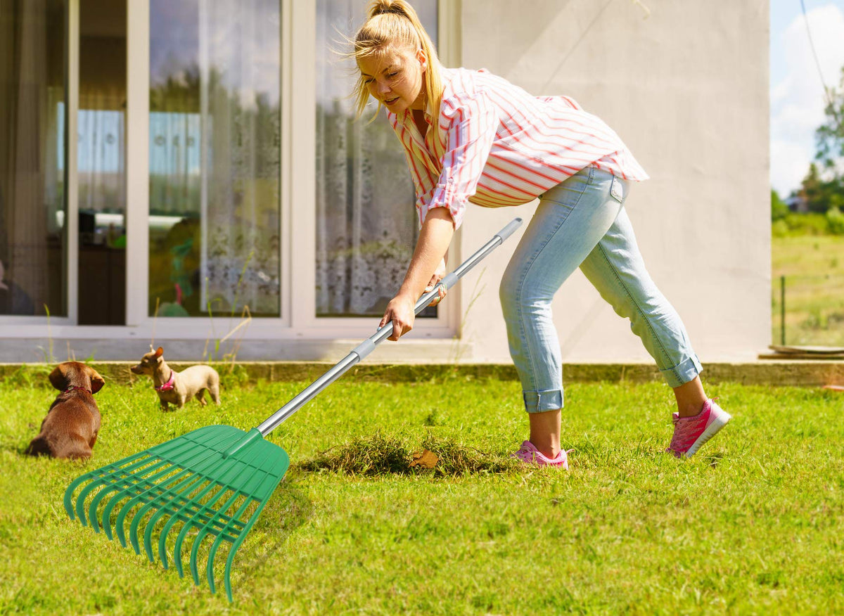 Gardzen garden cleanup set for faster yard tasks