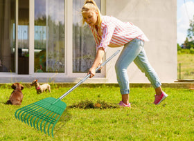Gardzen garden cleanup set for faster yard tasks