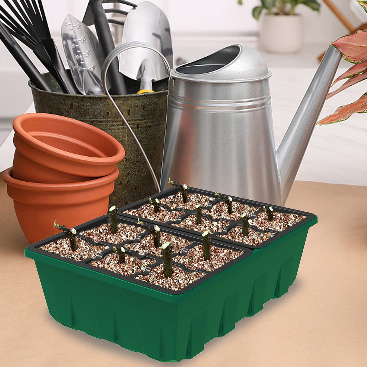 Gardzen green base keeps trays stable on benches or windowsills.