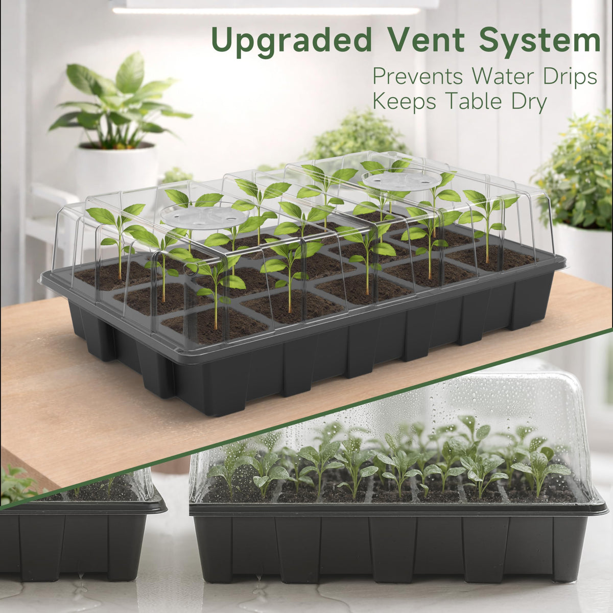 Gardzen humidity dome and base set maintains moisture for seedlings