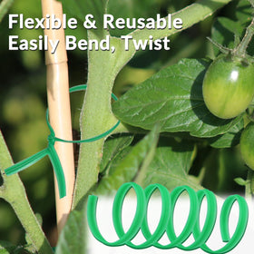 Gardzen plant stem support ties protect delicate stems while guiding growth.