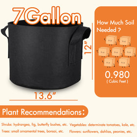 Gardzen bags ideal for potatoes, peppers, and larger tomato plants.