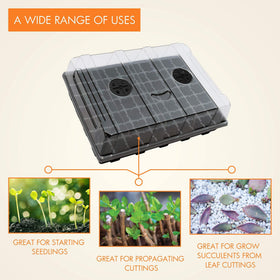 Gardzen propagation kit aids cuttings and young plant growth