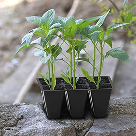 Gardzen reusable eco-friendly seed tray reduces waste and saves money over seasons.