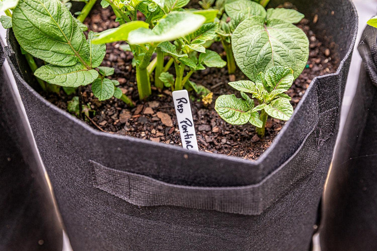 Gardzen reusable potato bags support sustainable gardening practices.