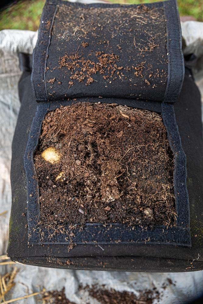 Gardzen bags suitable for root crops like potatoes, carrots, beets.