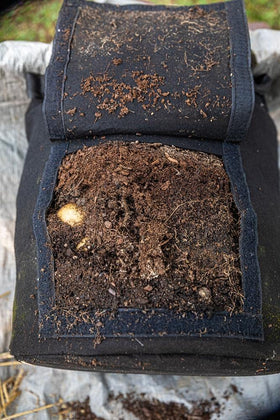 Gardzen bags suitable for root crops like potatoes, carrots, beets.